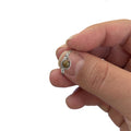 Earth Ring